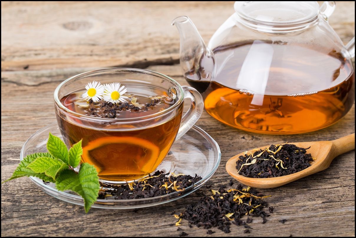 Nilgiri Tea exporter in UAE supplying premium Indian tea